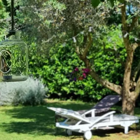 Rustico Roberta "Il Giardino Dei Pesci"-2